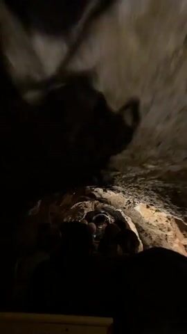 The video shows a group of people inside a dimly lit cave, viewed from the back of the group. The cave walls are rough and uneven, with some sections appearing lighter in color due to illumination. The people are seated in what looks like a moving vehicle or train, with their backs mostly facing the camera. The light seems to be coming from the front, illuminating parts of the cave walls and the heads of those seated further ahead. The overall atmosphere is dark and enclosed.