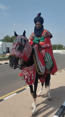 Daily life scenes documented across Gombe and Pantame, Nigeria