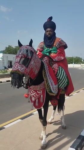 Daily life scenes documented across Gombe and Pantame, Nigeria