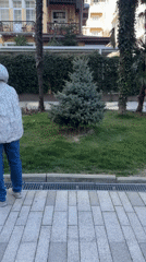 Everyday life scenes captured in Sochi public spaces