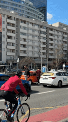 Warsaw street life and Palace views captured Sunday morning