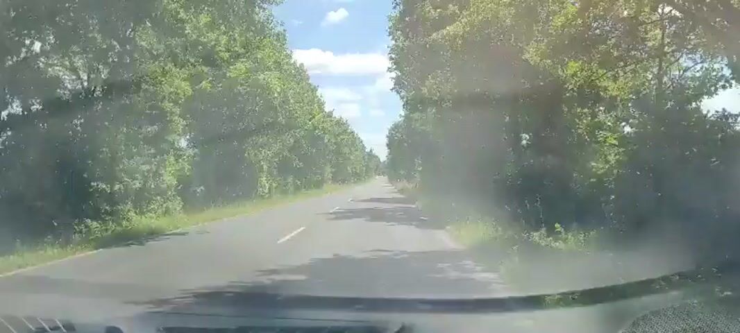 The video shows a first-person perspective from a vehicle driving on a paved road. The road has a solid white line on the left edge and a broken white line in the center, indicating two lanes or allowing passing. Both sides of the road are lined with dense green trees, forming a natural tunnel. The sky above is blue with scattered white clouds, suggesting a clear day. Sunlight is bright, causing some glare and reflections on the windshield, which also appears to have some smudges or dust. Shadows from the trees are visible on the road surface. The car is moving forward, with the road stretching into the distance. No other vehicles or people are visible in the immediate foreground.
