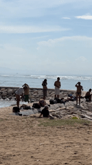 Sunny beach scene documented in Denpasar, Indonesia