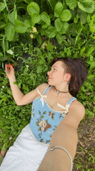 Strawberry picking in a Foteni field on a summer morning