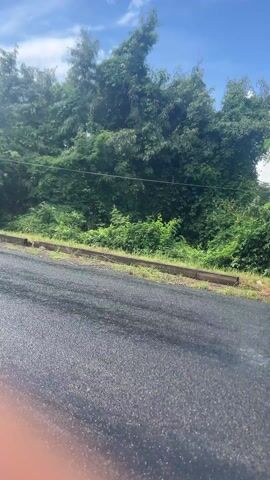 The video shows a paved road bordered by green vegetation under a partly cloudy sky. A green minibus drives past, carrying passengers, one wearing a red shirt. The road surface appears wet.