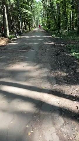 The video shows a dirt path in a wooded area. The path is lined with trees on both sides. Sunlight filters through the leaves, creating dappled shadows on the path. In the distance, a person in a red shirt is walking away from the camera, and another person appears to be with them. There is some construction material on the left side of the path near the foreground, and a bench is visible further up on the left. The path itself is uneven with some patches of loose dirt and small stones.