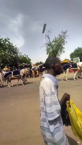 The video shows a procession of horses and riders on a paved road. The horses are decorated with blue and white blankets and ornaments. A crowd of people watches from the sidelines. One rider is dressed in a white robe and turban, and silver armor. The sky is partly cloudy. Trees are visible on either side of the road, and a street light stands tall in the background.