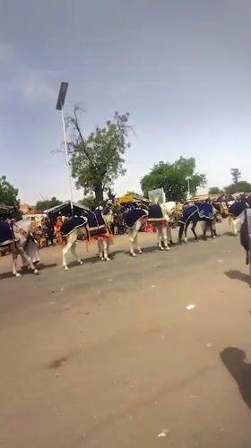 Traditional horse procession draws crowds in Kanti, Nigeria