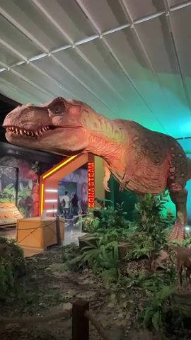 The video shows a large animatronic Tyrannosaurus Rex display at what appears to be a museum or exhibition. The dinosaur is positioned in a forest-like setting with artificial plants and foliage. Behind the dinosaur, an entrance archway is visible with neon lighting and text that reads "ZONA STEAM." A few people can be seen in the background near the archway, appearing to be visitors. The overall lighting suggests an indoor environment, possibly with spotlights highlighting the exhibit. The T-Rex's mouth is open, revealing teeth, and its head is turned towards the left of the frame. The camera movement is minimal, focusing on the impressive scale of the dinosaur.