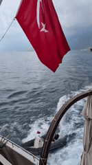Boat cruises Antalya's coast with Turkish flag flying