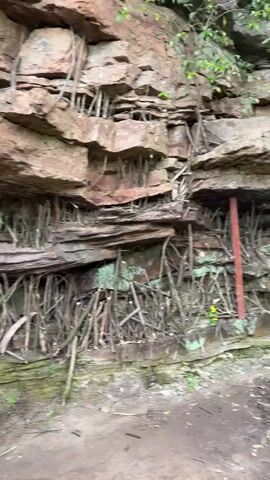 The camera pans slowly upward, revealing a stratified rock formation with numerous small, twig-like supports bracing the layers of rock. The rocks are predominantly brown and layered horizontally. Between the layers, there is an intricate network of twigs, appearing to be strategically placed to prevent the rock layers from shifting or collapsing. At the base of the rock formation, there is a rough path with sparse vegetation. A rock with Chinese characters written on it is visible in the lower left corner. The environment suggests a natural setting.