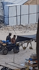 Daily movement through Khan Yunis amid makeshift settlements and donkey carts
