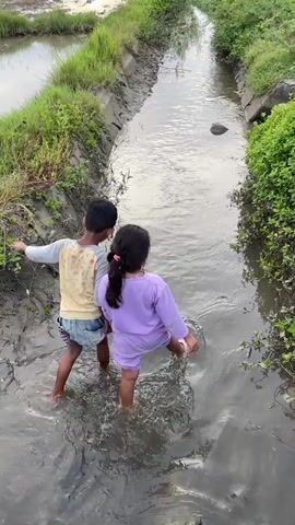 The video shows two young children playing in a shallow, muddy irrigation ditch. The child on the left, a boy wearing a light yellow and white shirt and denim shorts, is facing the camera and splashing in the water. The child on the right, a girl wearing a purple top and shorts, is initially facing away from the camera and walking further into the ditch, then turns to face the camera as well. Both children are barefoot and appear to be enjoying themselves. The ditch is flanked by green grass and what appears to be a rice paddy field in the background. The water is murky and disturbed by the children's movements.