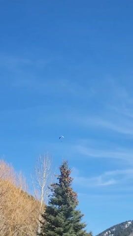 The video shows a blue and white paraglider high in a clear blue sky with light wispy clouds. In the foreground, there are trees, including a tall evergreen tree and a deciduous tree with bare branches. A mountain is visible in the distance.