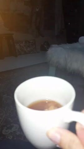 A hand holds a white ribbed mug containing a dark liquid with small particles. The background is dimly lit and out of focus, showing furniture and what appears to be a rug.