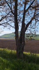 Rural landscape with plowed fields documented near Etoka, Russia