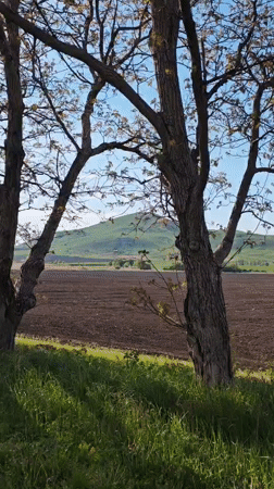 Rural landscape with plowed fields documented near Etoka, Russia