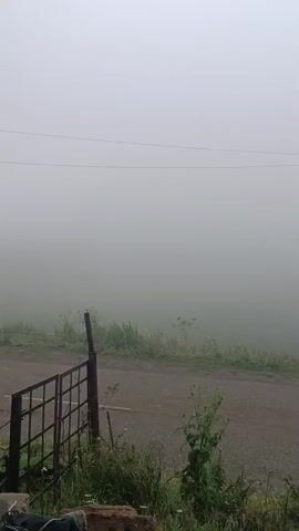 The video shows a grey, foggy landscape. A dirt road is visible, with a single white line marking its center. Vegetation, including tall grass and some flowering plants, grows along the sides of the road and in the foreground. A metal gate is on the left side of the frame. A utility pole stands on the right side of the road, with power lines running above. In the distance, a silver car is parked on the side of the road. The fog is dense, obscuring the background.