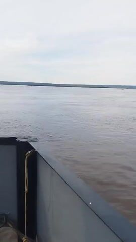 The camera looks out across a wide, brown river towards the opposite bank, which is visible in the distance. The sky is overcast. The camera appears to be located on a bridge or some kind of raised platform. The camera pans slightly to the right.