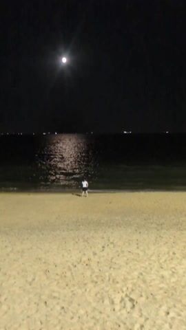 The video shows a woman standing on a sandy beach at night. The moon is visible in the sky. The woman is facing the water, and her hands are on her hips. The water is reflecting the moonlight. There are some lights visible in the distance.
