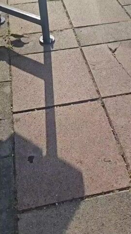 The video shows several sparrows on a paved area. The ground is made of large square concrete tiles with visible grout lines and some moss. The sparrows, which are small brown and gray birds, are scattered across the tiles. In the background, there is a wooden bench with metal legs. Sunlight casts long shadows from the bench across the paved area. One sparrow is near a dark spot on the ground, possibly a stain. The camera appears to be held at an angle looking down at the scene.