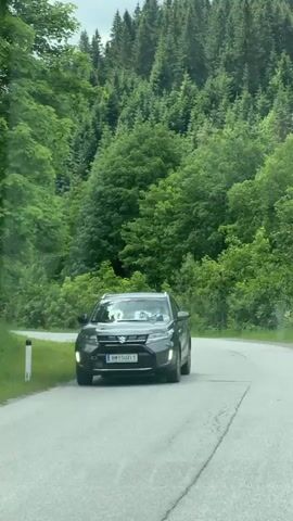 A black car is driving on a winding road through a forest. The road is paved and has white posts on the side. The forest is dense with green trees and the sky is cloudy. There is a bus stop sign on the left side of the road. The car has a logo on the side that is partially visible. The video is taken from inside another vehicle.