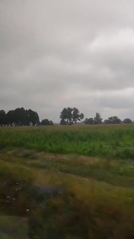 The video shows a static, slightly blurry view of a rural landscape under a cloudy sky. In the foreground, there is a field of green grass and some low-lying white flowers. A dirt path or road is visible running horizontally across the middle ground. Beyond this path, there is a field of taller green crops, possibly corn, stretching towards a line of trees in the distance. The trees are dark green and form a dense line, with a few scattered trees in front and to the sides. The sky is filled with heavy, gray clouds, suggesting an overcast or potentially rainy day. There are no people or animals visible in the frame, and no discernible actions are taking place. The overall impression is one of a quiet, natural environment.