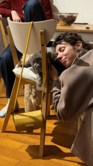 Woman pets grey cat on chair in Tel Aviv