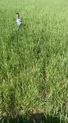 Toddler plays with cat in grassy field near Ольховка