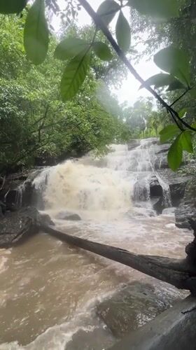 Powerful waterfall cascades through lush forest in Siyambalagoda, Sri Lanka
