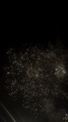 Wedding celebration with reception and fireworks in Mogilovo, Bulgaria