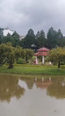 A video pans across a serene park scene. In the foreground, a calm body of murky water reflects the overcast sky and the surrounding greenery. The middle ground features a well-maintained grassy area with several trees, some with full canopies and others with sparser foliage. A prominent feature in the middle of the park is a traditional-style gazebo with a red, multi-tiered roof supported by white pillars. A person, partially obscured by foliage and wearing a bright pink garment, is visible sitting or kneeling near the gazebo. In the background, a dense line of tall green trees forms a backdrop, behind which are glimpses of buildings, suggesting an urban or suburban environment bordering the park. The overall atmosphere is peaceful and somewhat muted due to the cloudy weather.