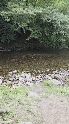 The video shows a clear, shallow river with a rocky bottom. Lush green trees and foliage line the banks of the river. The camera pans slowly to the right, revealing more of the river and the surrounding woodland. There are no people or animals visible in the video. The lighting suggests it is daytime, possibly overcast or shaded by the trees.