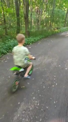 A child rides a small dirt bike away from the camera on an unpaved path through a forest. The path is dirt, and tall green trees densely line both sides. The child is wearing a light-colored short-sleeved shirt and dark pants, and is riding uphill as the path curves slightly to the right.