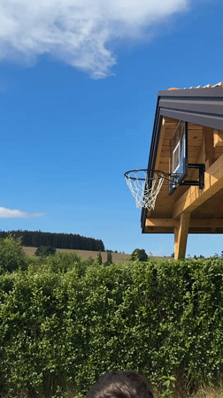 Backyard afternoon in Sulitsa: hoops, gardens, and a terrier