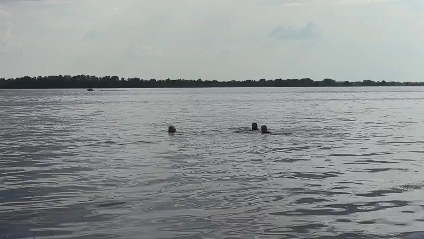 This media file captures a serene scene of a wide river on a cloudy day. The water is calm, with gentle ripples disturbing its surface. In the middle of the river, three people are swimming, with only their heads visible above the water. They appear to be enjoying a leisurely swim.

In the distance, the far bank of the river is lined with a dense forest, suggesting a natural, undeveloped landscape. A small boat can be seen on the water near the distant shore. The sky is overcast with scattered clouds, indicating a mild or potentially humid weather. The lighting suggests it is daytime, likely afternoon. The overall atmosphere is peaceful and relaxed, conveying a sense of summer recreation. The location is identified as Mayak, Russia, which aligns with the imagery of a river and forested shoreline common in the region. No visible text is present in the media file.