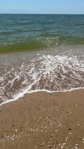 The video captures a serene daytime scene at a beach in Nea Chili, Greece. The foreground features a light brown sandy beach adorned with numerous small shells and pebbles. Gentle waves, characterized by foamy white crests, rhythmically wash ashore, receding and then rolling back in. The water itself appears a clear greenish-blue, indicating a calm sea. In the midground, the expanse of the ocean stretches out under a bright, clear blue sky. On the distant horizon, faint outlines of land or mountains are visible. The overall impression is one of tranquility and natural beauty on a sunny day. No people or text are visible in the video.