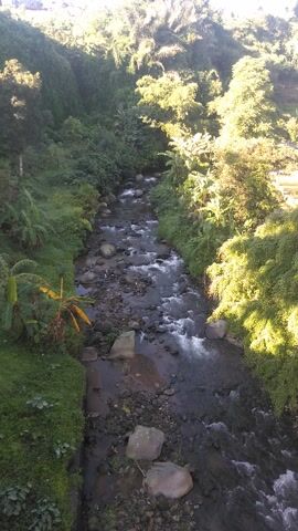 This video captures an overhead view of a clear, flowing stream winding through a lush green landscape. The stream is rocky, with water cascading over various stones and creating small white rapids. On both banks, dense vegetation, including trees, bushes, and smaller plants, thrives, creating a vibrant green corridor for the water. Bright sunlight illuminates the scene, casting dappled shadows on the foliage and highlighting the moving water. The overall impression is one of a peaceful and natural environment. No people or text are visible in the video. The setting appears to be a natural area in Kecamatan Cipanas, Indonesia.