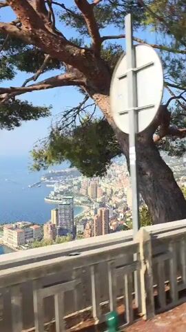 A video pans across a scenic view of a coastal city and the ocean on a clear, sunny day. Lush green trees and foliage are visible in the foreground, framing a stone railing that separates the viewpoint from a road. Beyond the railing, the expansive blue ocean stretches out to the horizon. Along the coastline, a dense collection of buildings, including high-rise structures and what appears to be a marina with boats, is spread across the landscape. The cityscape climbs up the hillside, suggesting a hilly terrain. The sky is a vibrant, cloudless blue. The camera movement is smooth, indicating a slow pan or possibly a ride on a vehicle.