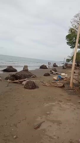 A group of people are walking on a beach with debris from the sea. The beach is covered in sand and some rocks. The water is calm. The sky is cloudy. There are several large pieces of driftwood scattered on the beach.