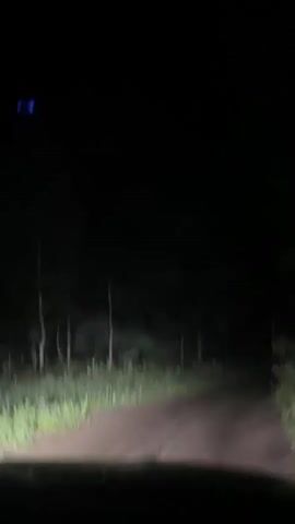 The video shows a first-person perspective of driving on a dirt road at night. The headlights of the vehicle illuminate the road ahead, which is flanked by trees and tall grass. In the distance, another vehicle with its headlights and taillights visible is also on the road, appearing to be ahead of the viewer's vehicle. The camera briefly pans to show the other vehicle's red taillights. The overall scene is dark and rural.