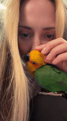 Woman pets Sun Conure parrot in tender moment
