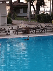 Late-night Kemer: poolside birds and mountain streets