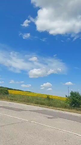 The video is a first-person perspective shot from inside a moving vehicle, showing a roadside view of a rural landscape on a sunny day. The sky is a vibrant blue with scattered white clouds. In the foreground, the asphalt road with white markings is visible, along with the grassy shoulder and a portion of the car's interior, including the open driver's side door, dashboard, and roof rack. The middle ground features a line of trees and agricultural fields, including what appears to be a field of sunflowers and green crops. In the distance, rolling hills covered with vegetation are visible, and a yellow truck can be seen driving on the road. The car appears to be traveling on a highway or a main road. The overall impression is one of a scenic drive through the countryside.