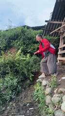 Tourist explores scenic terraced landscapes in rural Vietnam commune