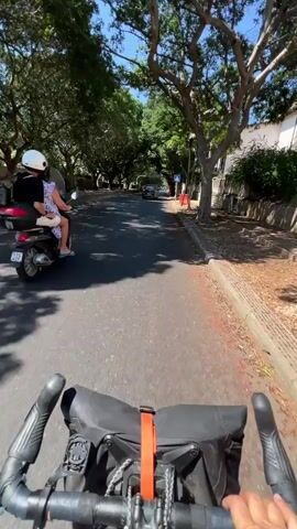 A first-person perspective video shows a cyclist riding down a tree-lined street on a sunny day. In front of the cyclist, a person on a scooter is visible. Cars are parked on the left side of the road. Trees with lush green foliage canopy the street, casting dappled shadows on the asphalt. A pedestrian crossing sign is visible on the right side of the road. The cyclist's handlebars and a bag attached to them are in the foreground.