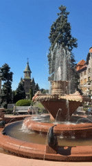 Morning scenes captured across central Timișoara landmarks and streets
