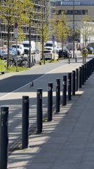 Hare spotted running through urban Kiel streets on sunny day