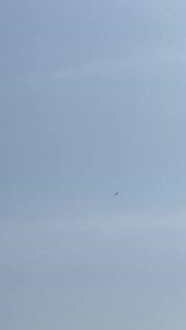 The video captures a bird soaring high in a clear, light blue daytime sky. Initially, the bird is a small, dark silhouette in the center of the frame, gliding smoothly. As the camera slightly zooms out towards the end of the clip, a distant landscape becomes visible below the bird, featuring a potential valley or cliff edge with some distant greenery and structures. A dark green tree branch with leaves also enters the frame from the top right, partially obscuring the sky. The weather appears clear and bright. No text is visible. The location is Amangwu, Nigeria.