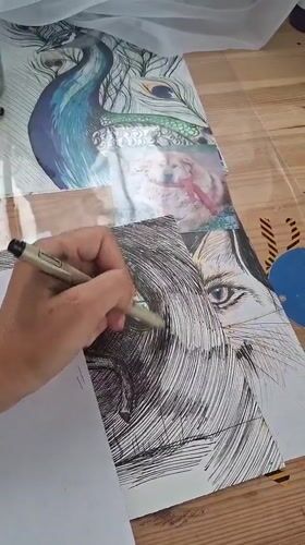 Kitten playtime and intricate animal sketching in Kempelevo